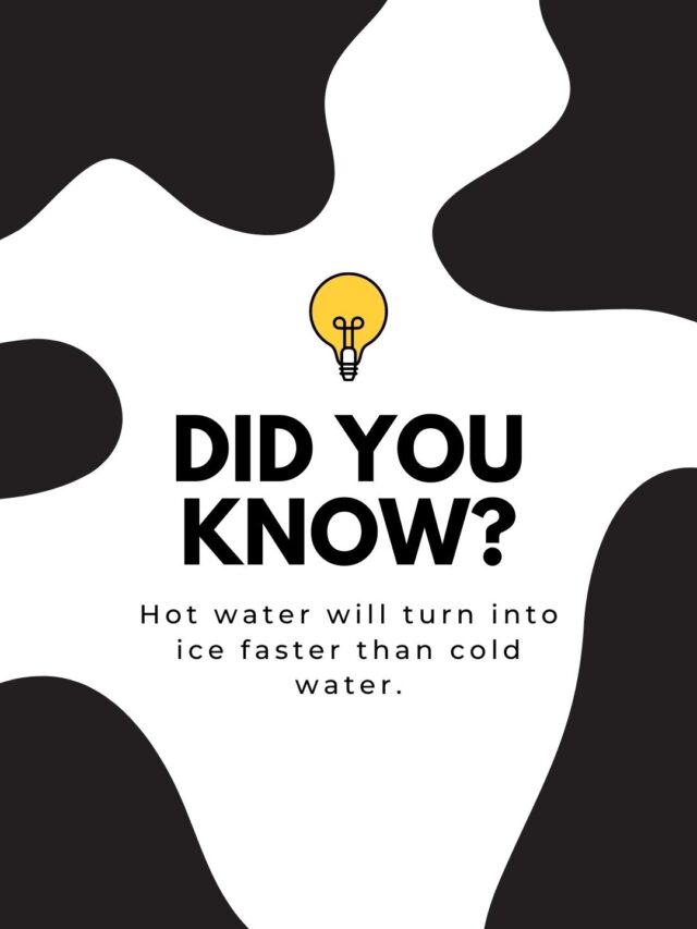 15 Fun Facts You Should Know.