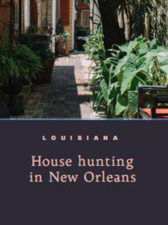 House Hunting In New Orleans