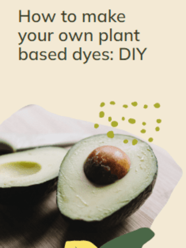 Plant Base Dyes | DIY